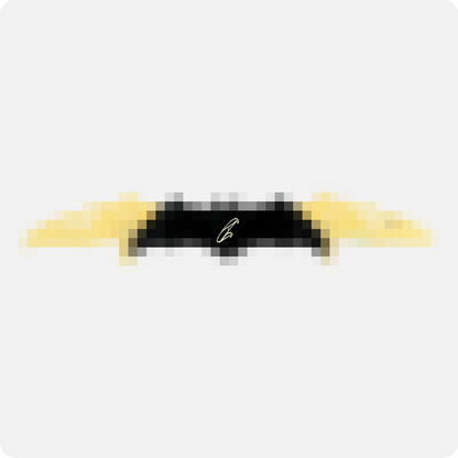 Robert O'Neill Signed Navy SEAL Tactical Bat K**** (SENSITIVE PARTS OF IMAGE HAVE BEEN TEMPORARILY BLURRED OUT)